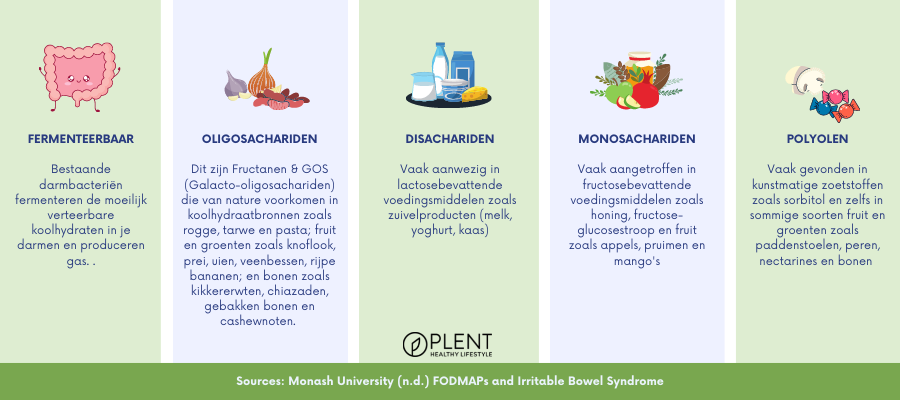 Alles over FODMAP: dieet, tips en voordelen Alles over FODMAP: dieet, tips en voordelen