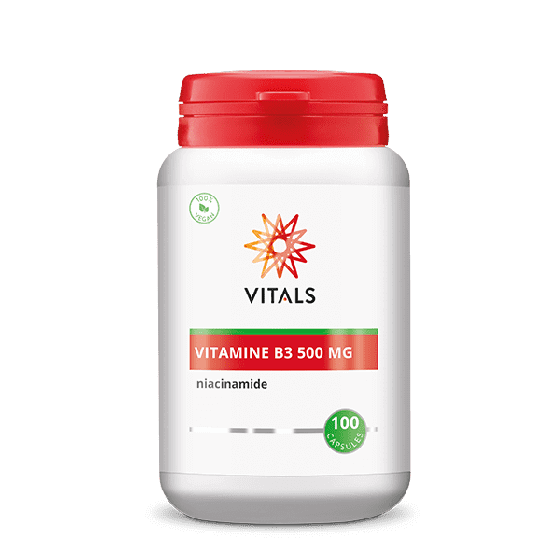 VITAMINE B3 500 MG 100 CAPSULES