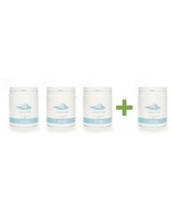 Big Food - Creatine Poeder Monohydrate - 500 g (3+1 Gratis)
