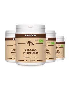 Big Food Bio Chaga Poeder RAW – Exclusieve 3+1 END OF YEAR DEAL 