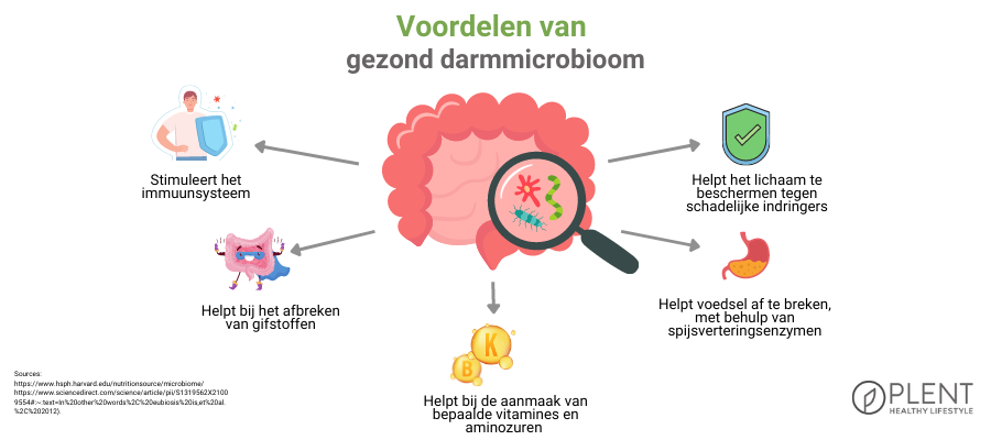 voordelenvangezonddarmmicrobioom voordelenvangezonddarmmicrobioom