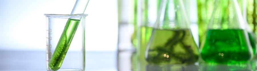 Greens poeder: is de hype terecht? Greens poeder: is de hype terecht?