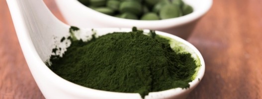 chlorella