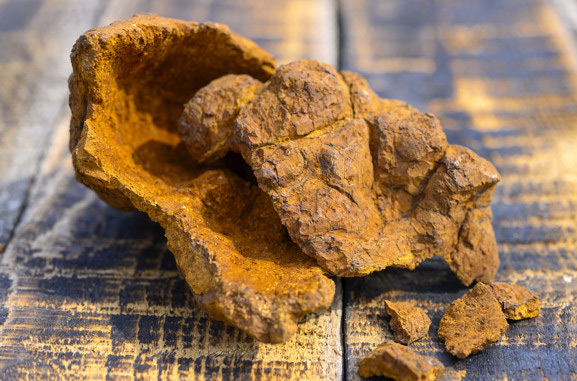 chaga poeder