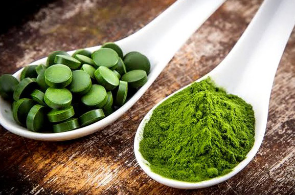 chlorella