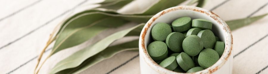hoe onze Nederlandse chlorella wordt gekweekt