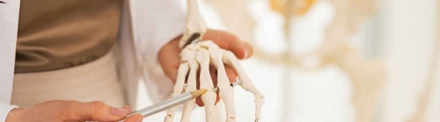 viscollageen en gezondheid van de botten