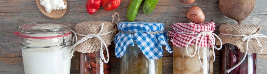 Wat is het verschil tussen prebiotica en probiotica