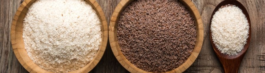 wat is psyllium husk