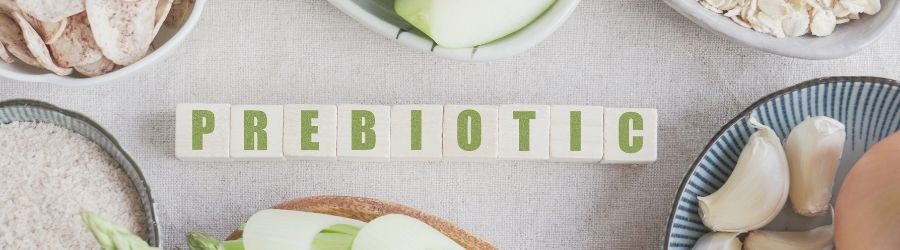 Welke voedingsmiddelen bevatten prebiotica